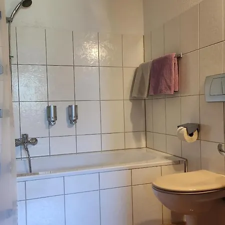 Im Rheindelta Apartman
