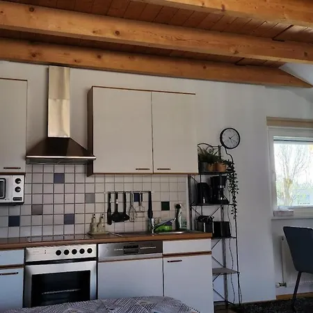Im Rheindelta Höchst