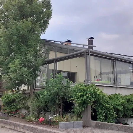 Im Rheindelta